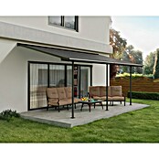 Palram – Canopia Terrassenüberdachung Capri (B x T: 619 x 299 cm, Anthrazit, Polycarbonat, Klar) | BAUHAUS