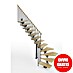 Scrigno Escalera principal Lumina L 