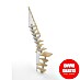 Scrigno Escalera principal Sailor L 