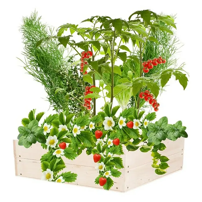 Proregal Hochbeet Growline Holz - 80 x 83 x 18 cm, Holz, Natur