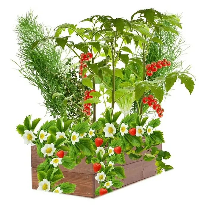 Proregal Hochbeet Growline Holz - 30 x 83 x 18 cm, Holz, Braun