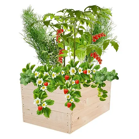 Proregal  Hochbeet Growline Holz