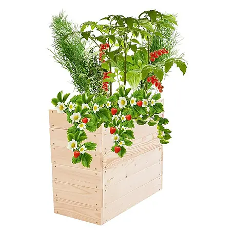 Proregal  Hochbeet Growline Holz