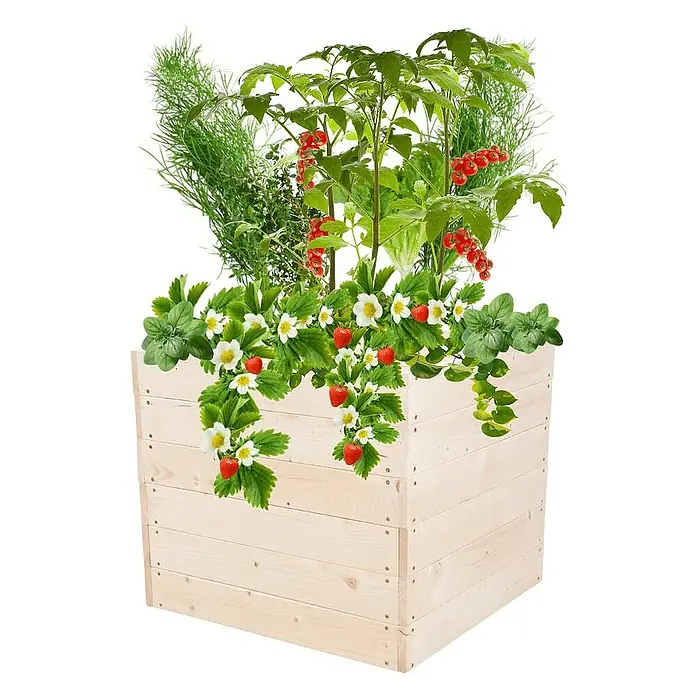 Proregal Hochbeet Growline Holz - 80 x 83 x 54 cm, Holz, Natur