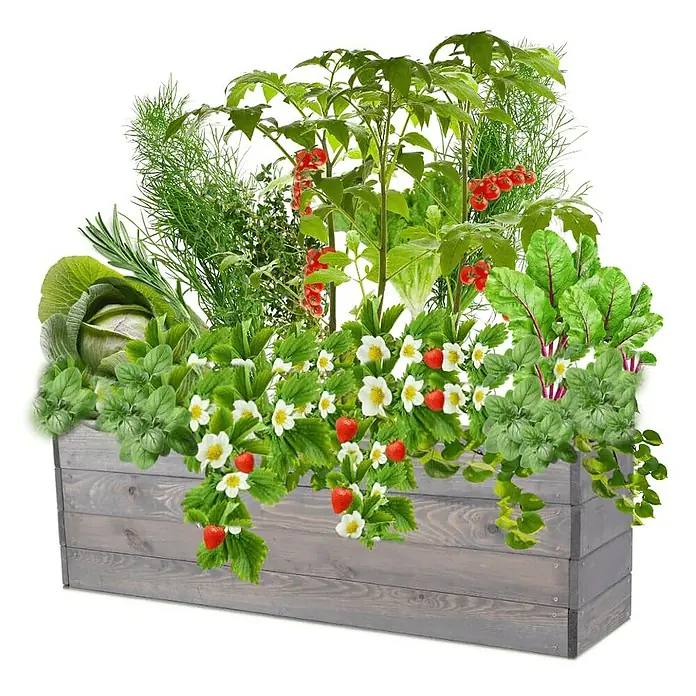 Proregal Hochbeet Growline Holz - 30 x 120 x 36 cm, Holz, Grau