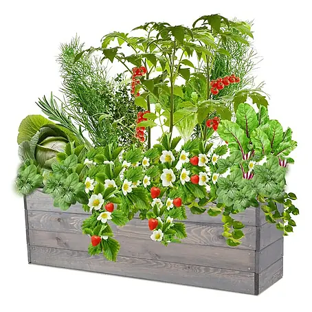 Proregal  Hochbeet Growline Holz