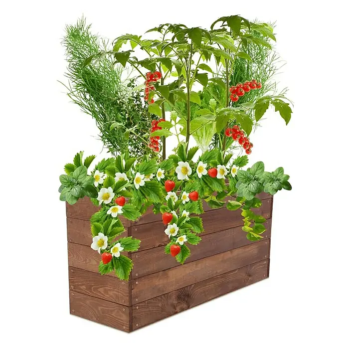 Proregal Hochbeet Growline Holz - Holz, Braun