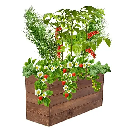 Proregal  Hochbeet Growline Holz