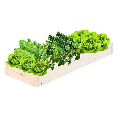 Proregal  Hochbeet GardenStep Holz