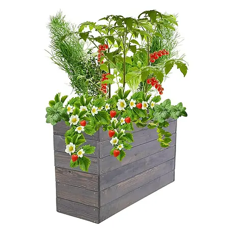 Proregal  Hochbeet Growline Holz