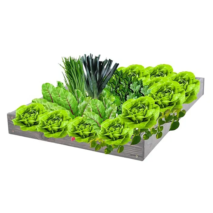 Proregal Hochbeet GardenStep Holz - 100 x 60 x 9 cm, Holz, Grau