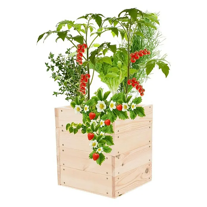 Proregal Hochbeet Growline Holz - 30 x 33 x 36 cm, Holz, Natur