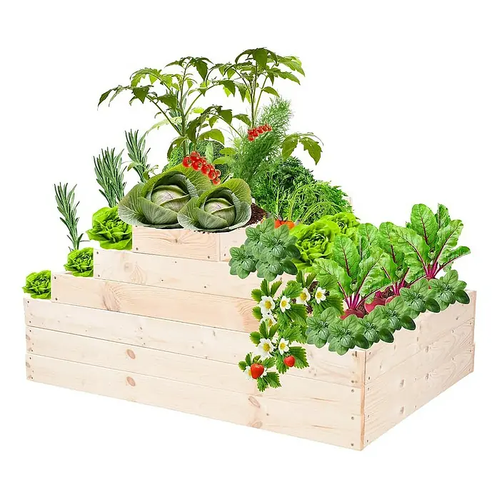 Proregal Hochbeet GardenStep Holz - Holz, Natur