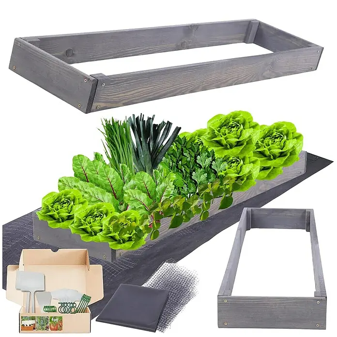 Proregal Hochbeet GardenStep Holz - Holz, Grau