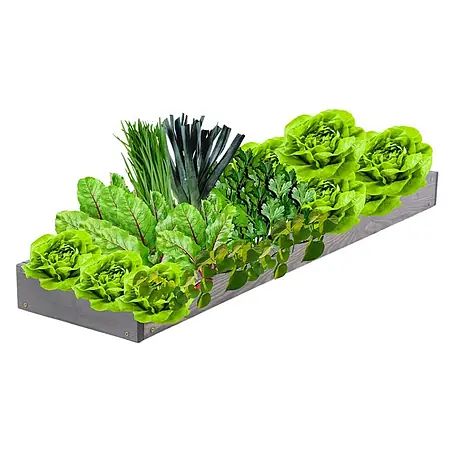 Proregal  Hochbeet GardenStep Holz