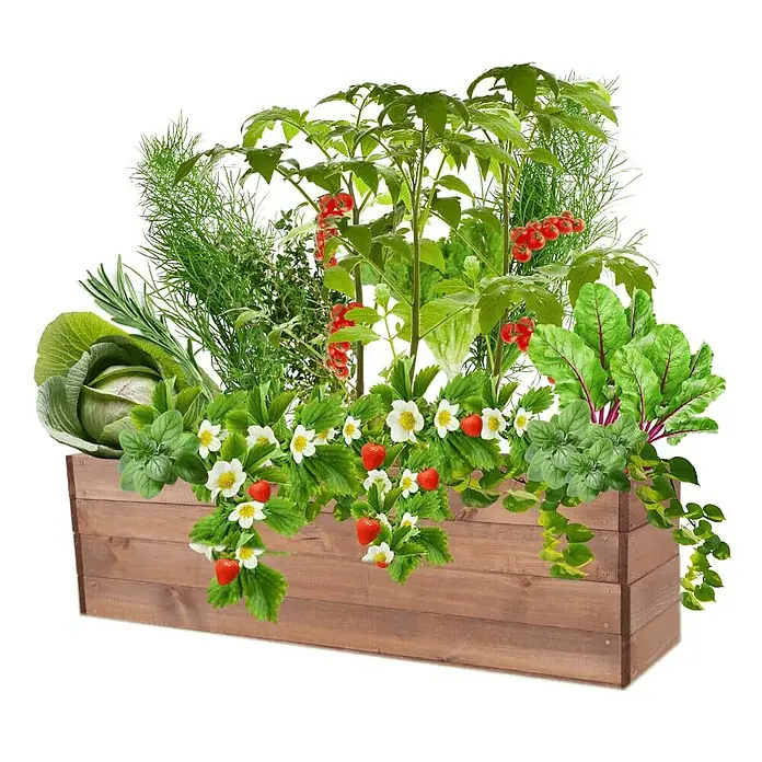 Proregal Hochbeet Growline Holz - 30 x 120 x 36 cm, Holz, Braun