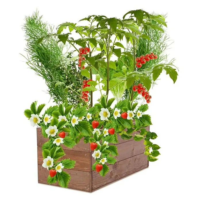 Proregal Hochbeet Growline Holz - 30 x 63 x 27 cm, Holz, Braun