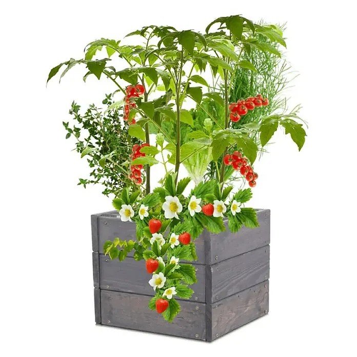 Proregal Hochbeet Growline Holz - 30 x 33 x 27 cm, Holz, Grau