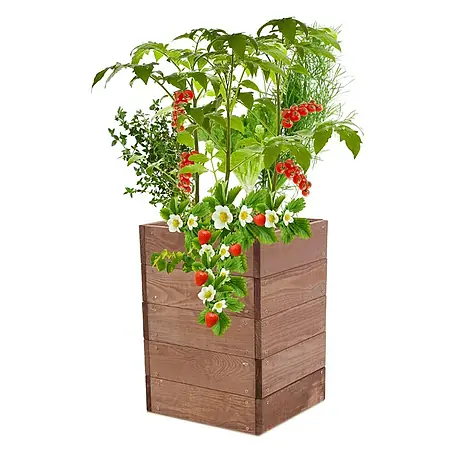 Proregal  Hochbeet Growline Holz