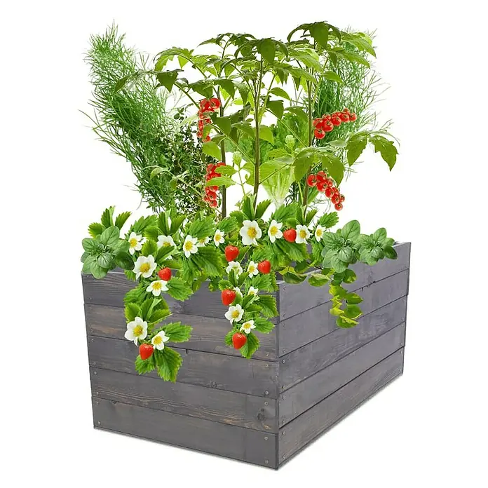 Proregal Hochbeet Growline Holz - 80 x 83 x 45 cm, Holz, Grau