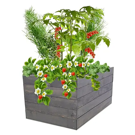 Proregal  Hochbeet Growline Holz
