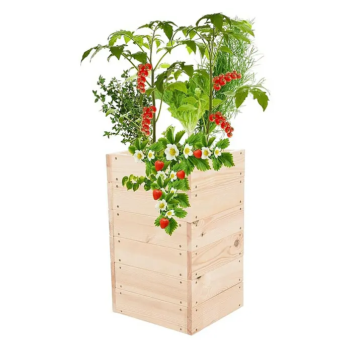 Proregal Hochbeet Growline Holz - 30 x 33 x 54 cm, Holz, Natur