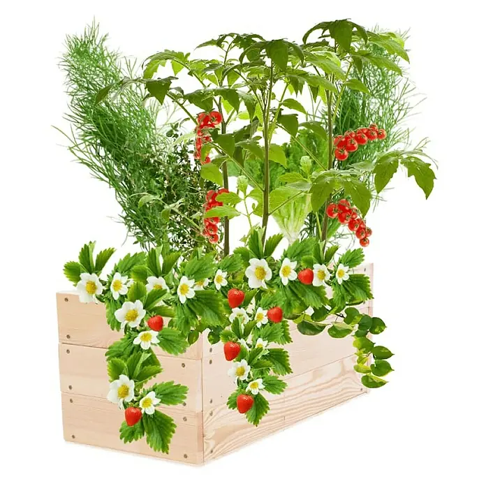 Proregal Hochbeet Growline Holz - Holz, Natur