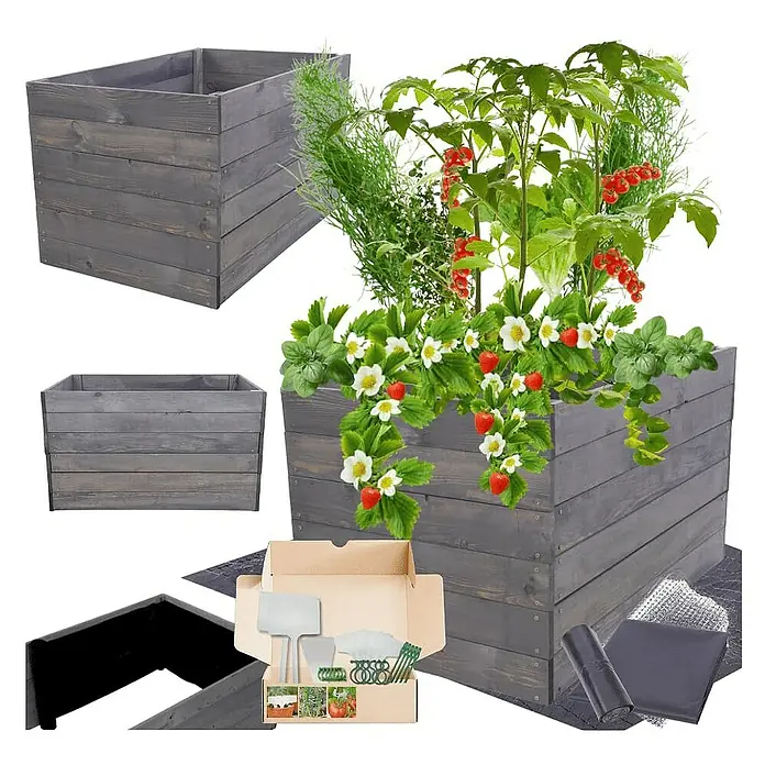 Proregal Hochbeet Growline Holz - Holz, Grau