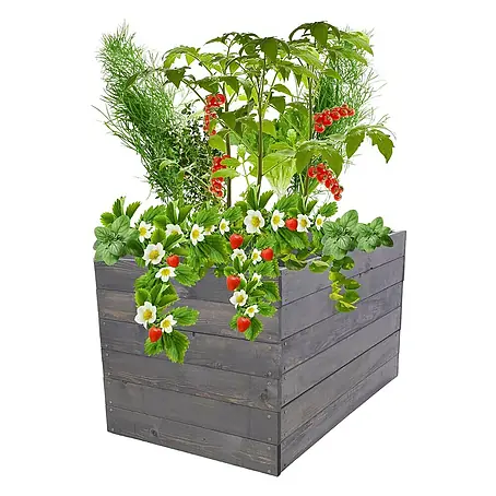 Proregal  Hochbeet Growline Holz