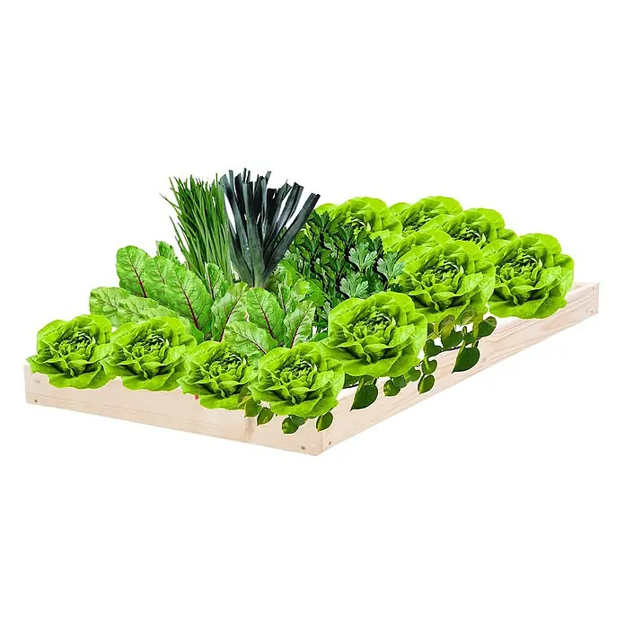 Proregal Hochbeet GardenStep Holz - Holz, Natur