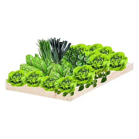 Proregal  Hochbeet GardenStep Holz