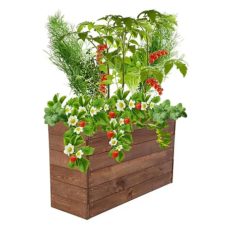 Proregal  Hochbeet Growline Holz