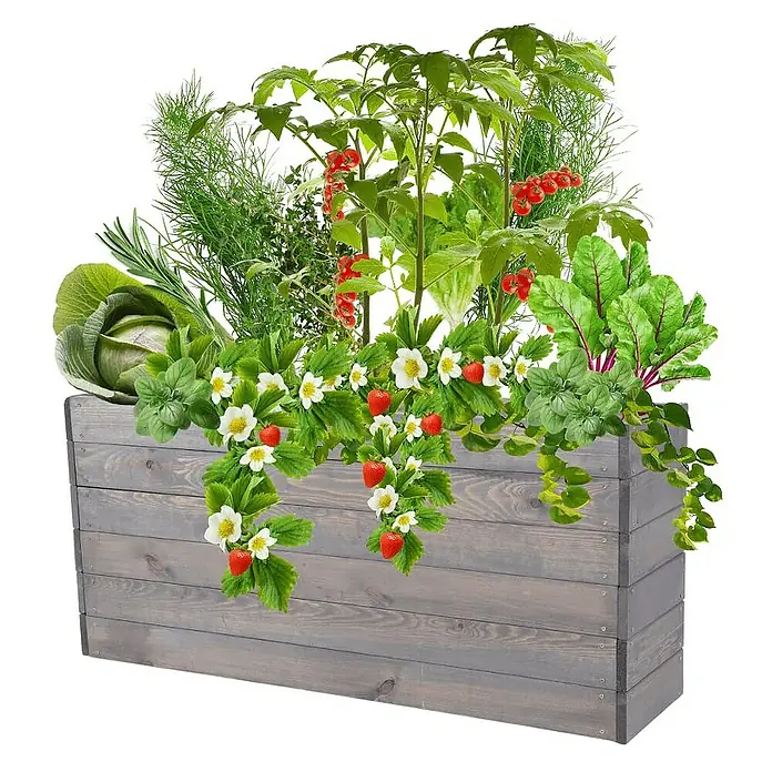 Proregal Hochbeet Growline Holz - Holz, Grau