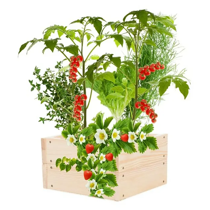 Proregal Hochbeet Growline Holz - Holz, Natur