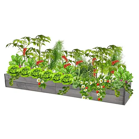 Proregal  Hochbeet Growline Holz