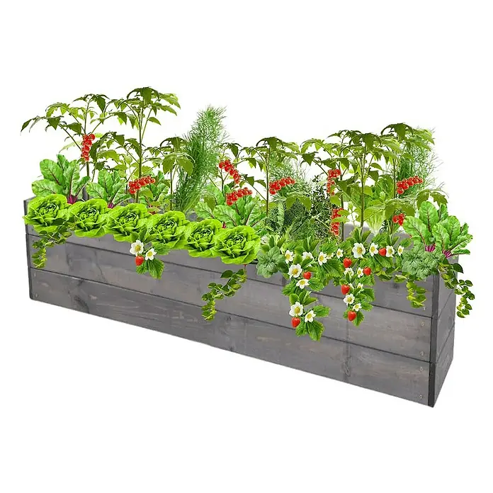 Proregal Hochbeet Growline Holz - Holz, Grau