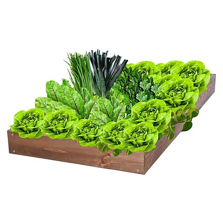 Proregal  Hochbeet GardenStep Holz