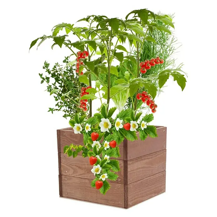 Proregal Hochbeet Growline Holz - 30 x 33 x 27 cm, Holz, Braun