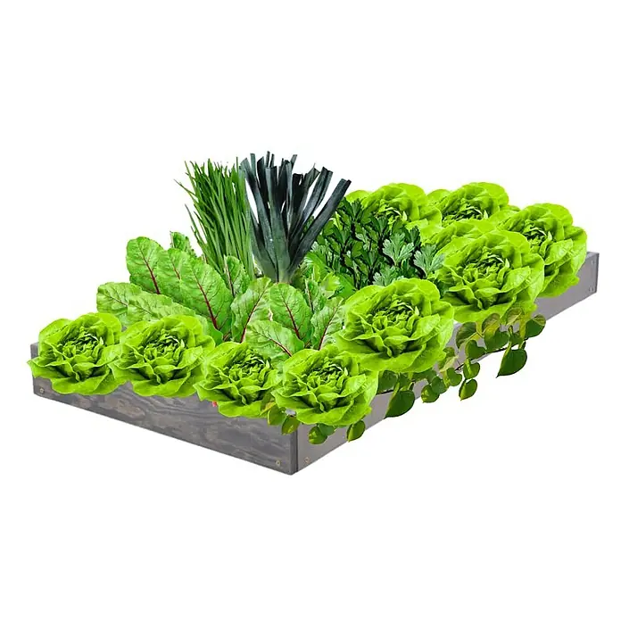 Proregal Hochbeet GardenStep Holz - Holz, Grau