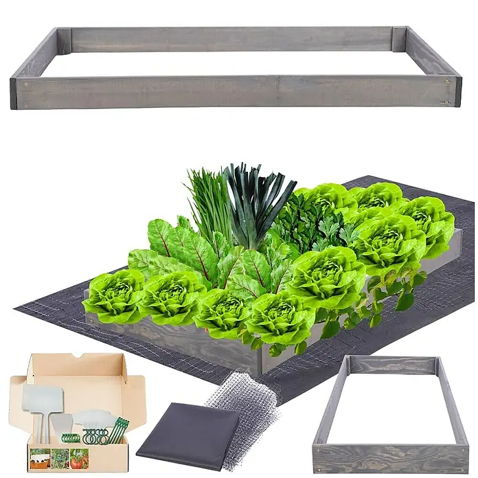 Proregal Hochbeet GardenStep Holz - Holz, Grau
