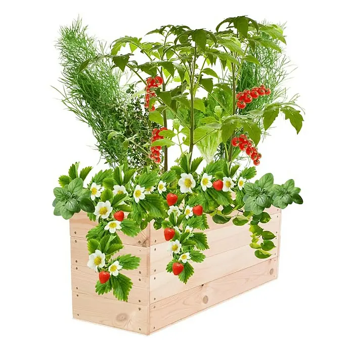 Proregal Hochbeet Growline Holz - Holz, Natur