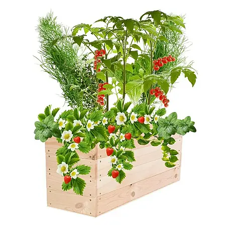 Proregal  Hochbeet Growline Holz