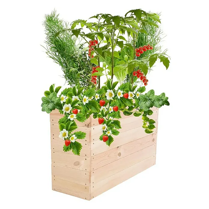 Proregal Hochbeet Growline Holz - 30 x 103 x 54 cm, Holz, Natur