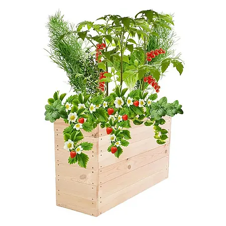 Proregal  Hochbeet Growline Holz