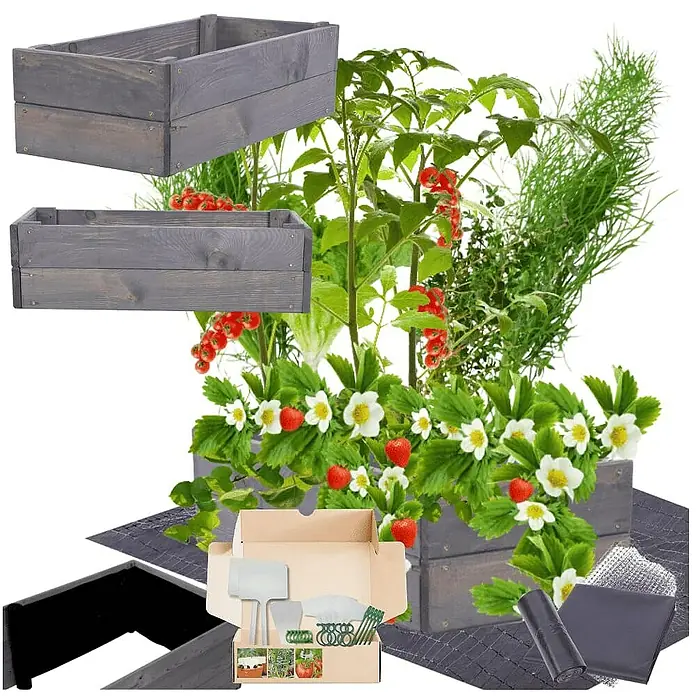 Proregal Hochbeet Growline Holz - 30 x 63 x 18 cm, Holz, Grau