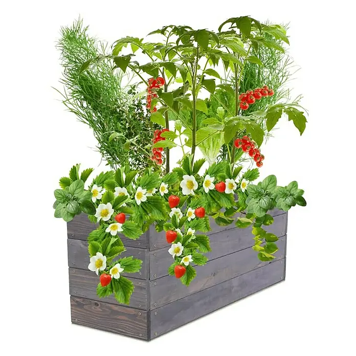 Proregal Hochbeet Growline Holz - 30 x 93 x 36 cm, Holz, Grau