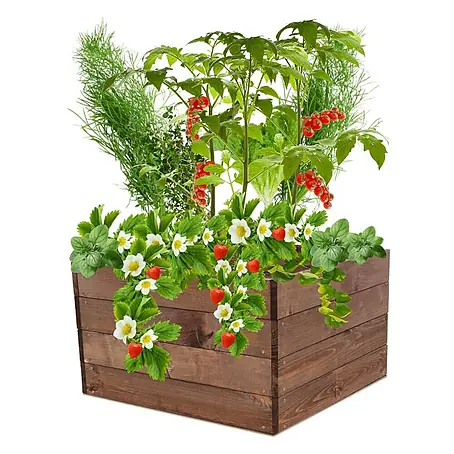 Proregal  Hochbeet Growline Holz