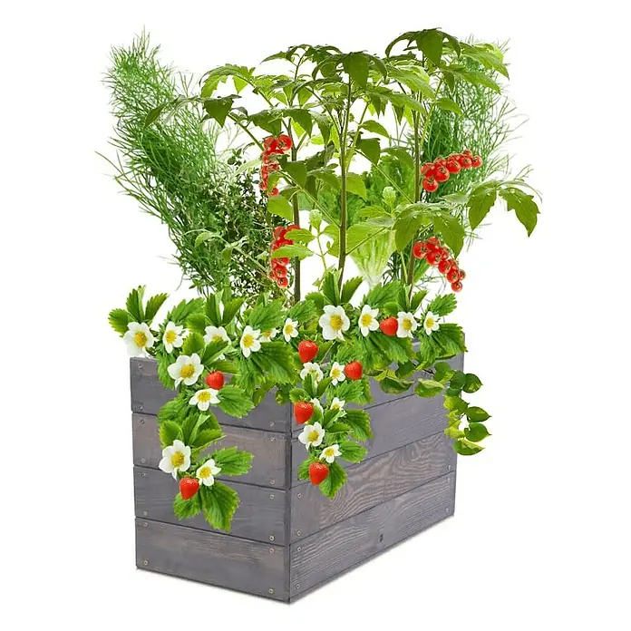 Proregal Hochbeet Growline Holz - 30 x 63 x 36 cm, Holz, Grau