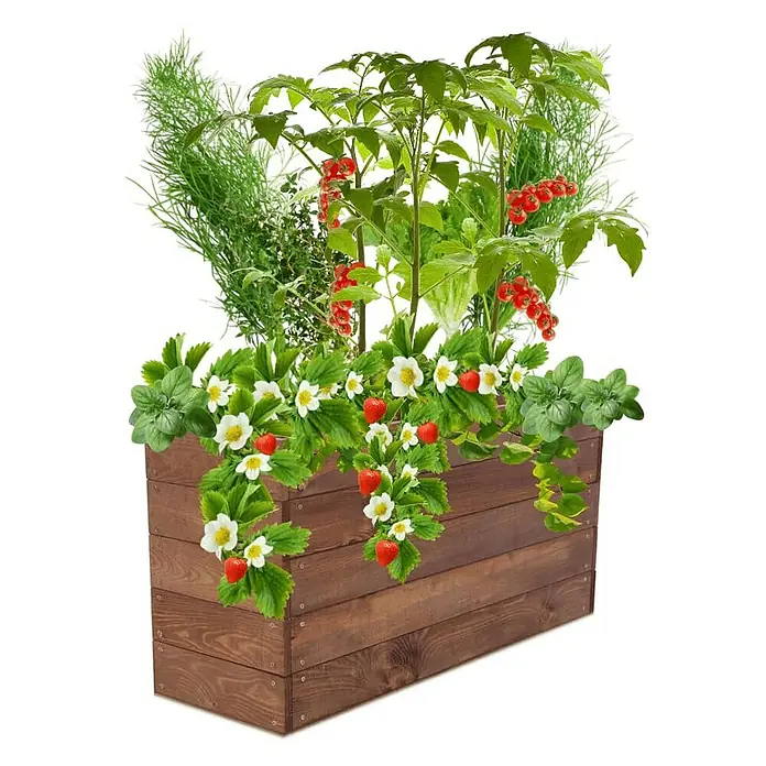 Proregal Hochbeet Growline Holz - 30 x 103 x 45 cm, Holz, Braun