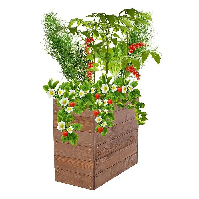 Proregal Hochbeet Growline Holz - 30 x 63 x 54 cm, Holz, Braun